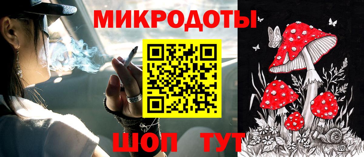 Псилоцибиновые грибы Psilocybe Янаул
